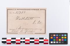 Etikett zu Bronzeknotenarmreif (NHMW-PRAE-035783)